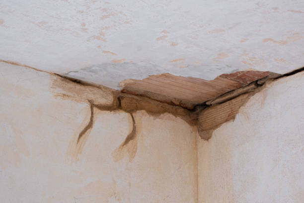 Best Fire Damage Restoration  in Liberty Hill, TX