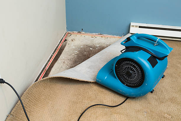 Best 24-hour water damage restoration  in Liberty Hill, TX